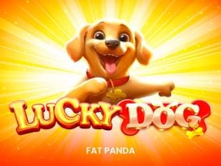 Lucky Dog thumbnail